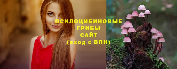 гидра Алзамай