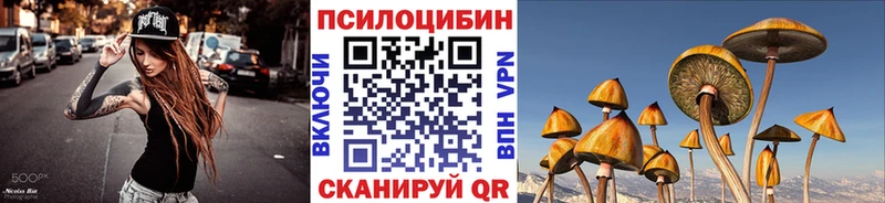 Псилоцибиновые грибы Psilocybine cubensis  Ишим 